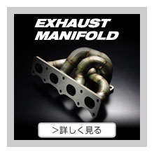 BLITZ POWER SITE : EXHAUST SYSTEM