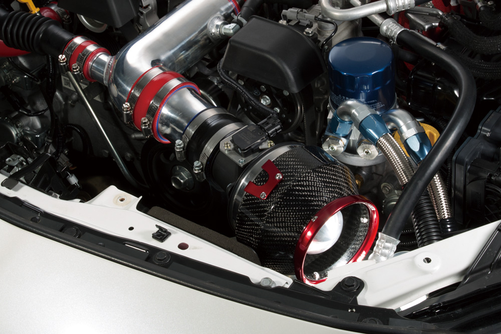 CARBON POWER AIR CLEANER | BLITZ