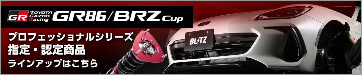 BLITZ ZD8 BRZ Special Contents | BLITZ