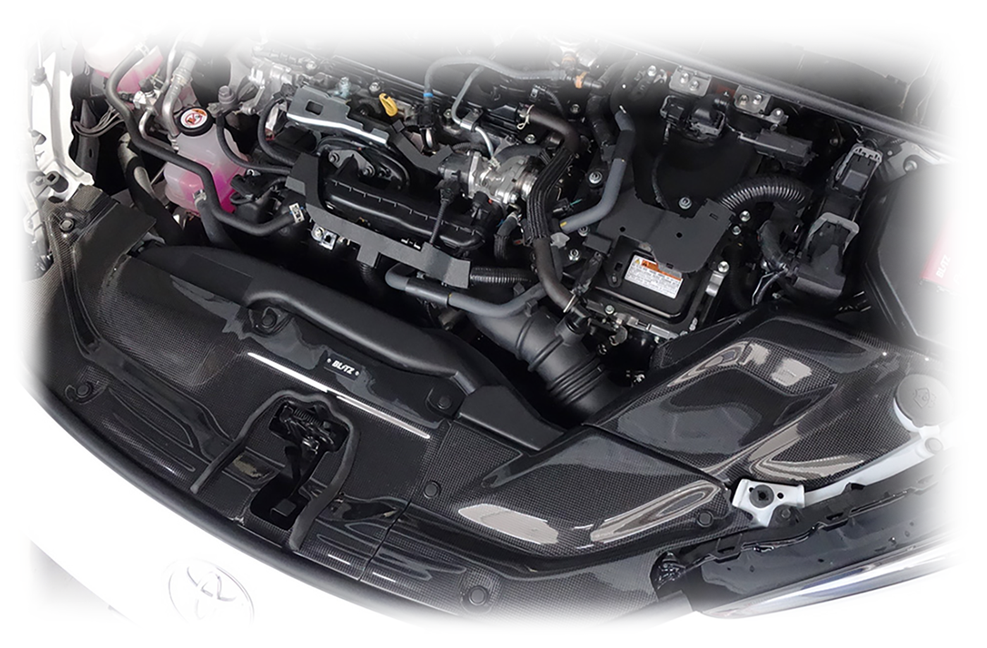 CARBON INTAKE SYSTEM
